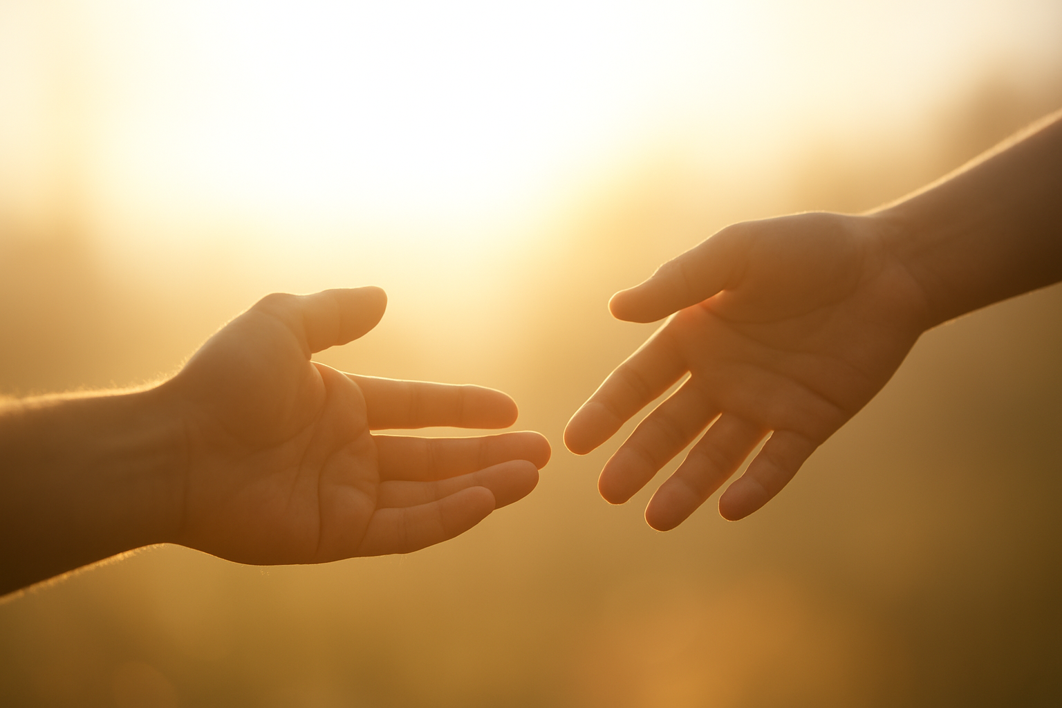 When God Shows Up: Comfort, Witness, New Life